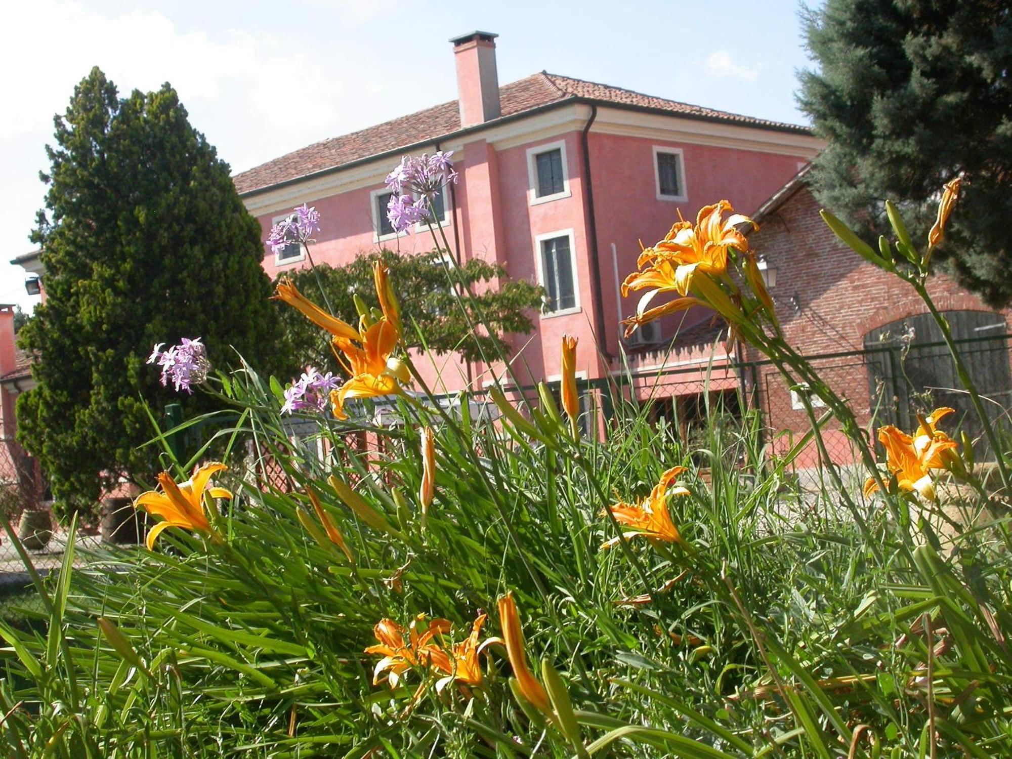 Bordeghina B&B In Farmhouse Pontecchio Polesine Bagian luar foto